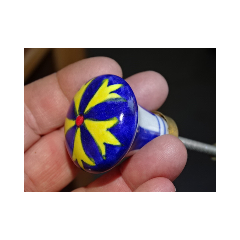 bouton poire fleur jaune fond outremer
