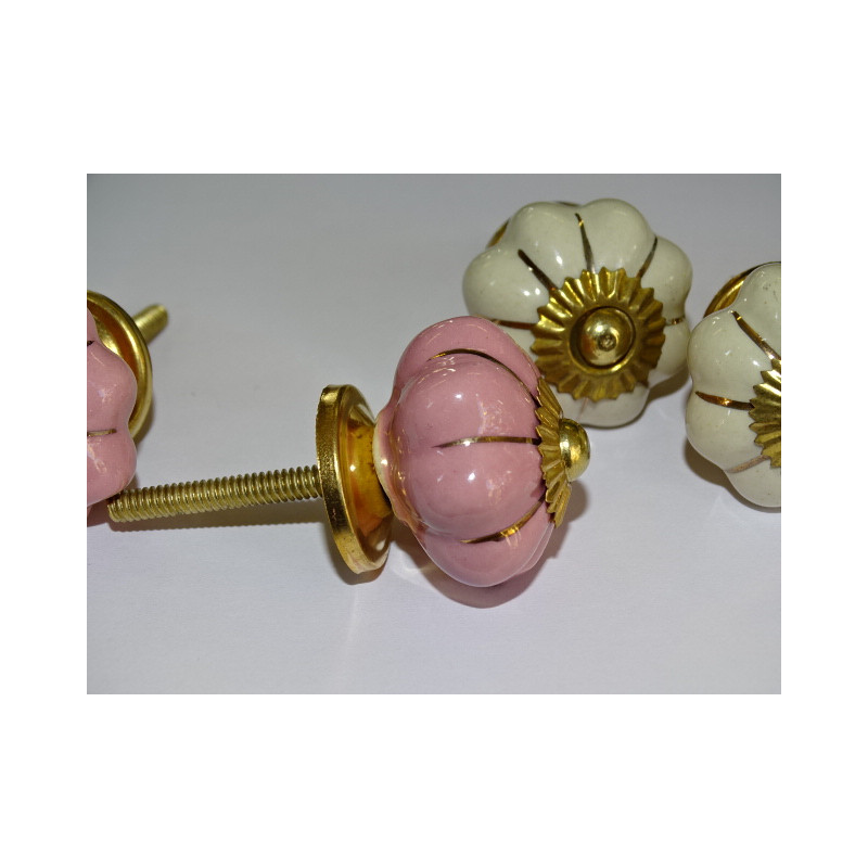 Set von 6 Kürbisknöpfen 32 mm 3 Rosen und 3 beige