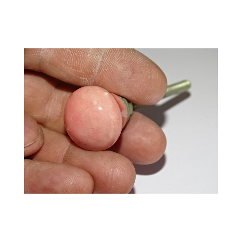 Petite Poignée de meuble rose