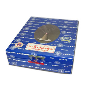Boite de 12 étuis d'encens Nag champa en cônes 2