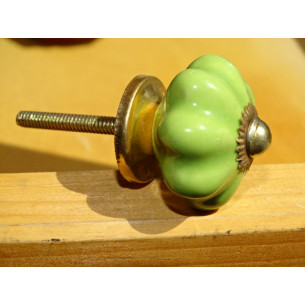 Petite poignées citrouille vert printemps