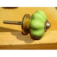 small pumpkin handles green spring