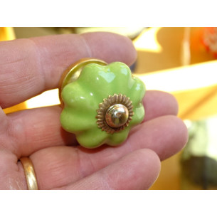 small pumpkin handles green spring 2