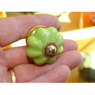 small pumpkin handles green spring