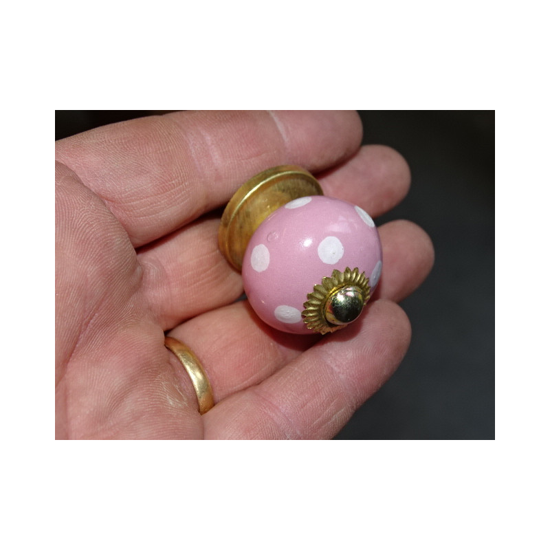 Piccola rosa gestisce puntini bianchi