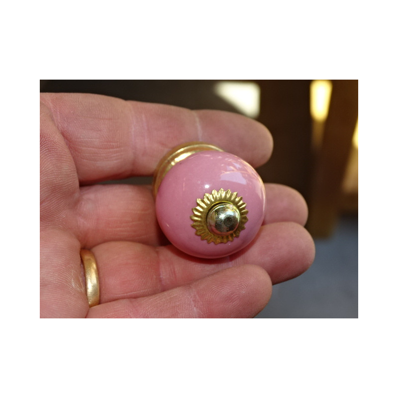 Manejar pequeño Rosa
