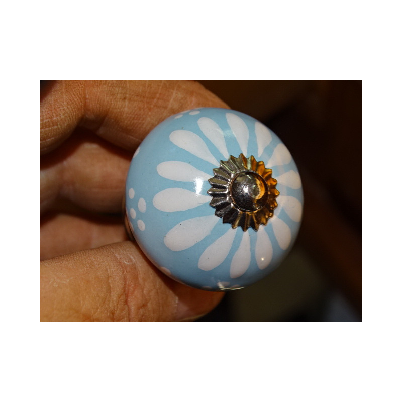 Sky blue porcelain and white dandelion...
