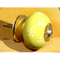 yellow handles small white flowers