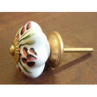buton pumpkin white flower purple